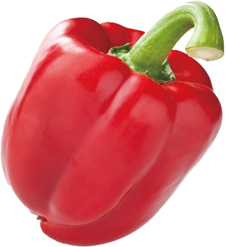 野菜