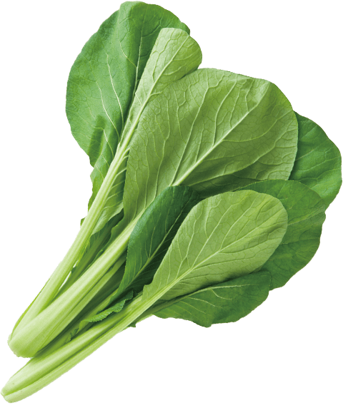 野菜