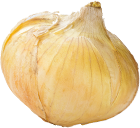 野菜